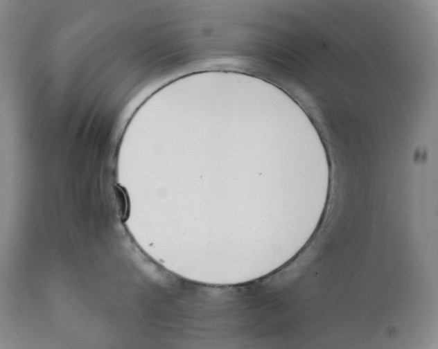 X0000111920816200908241049