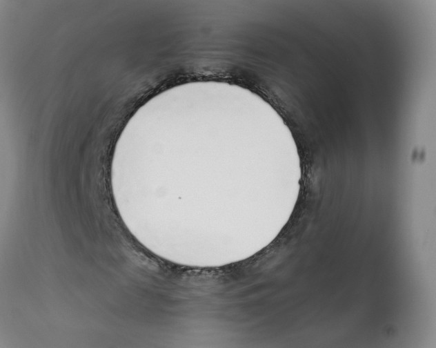 X0000111920817200908241049