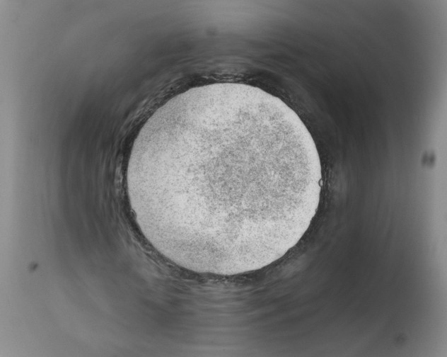 X0000111920818200908241049