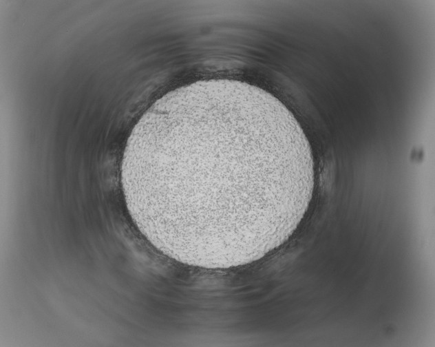 X0000111920819200908241049