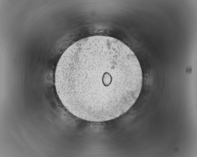 X0000111920820200908241049