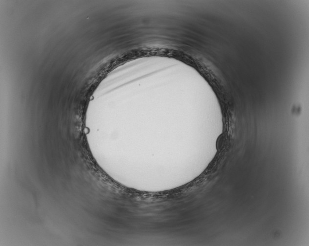 X0000111920821200908241049