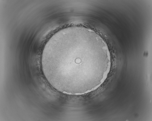 X0000111920824200908241049