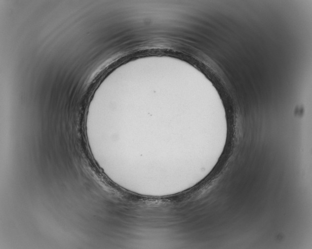 X0000111920826200908241049