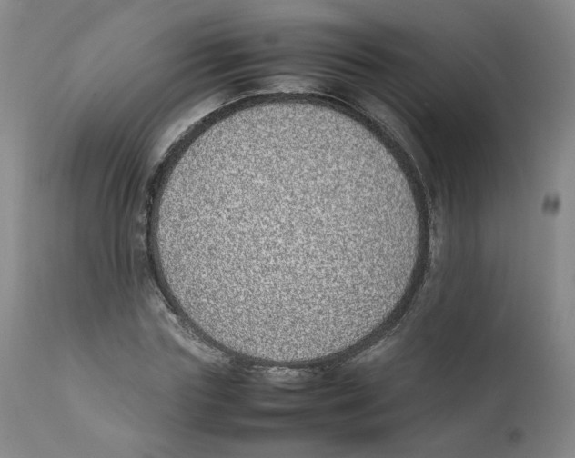 X0000111920827200908241049