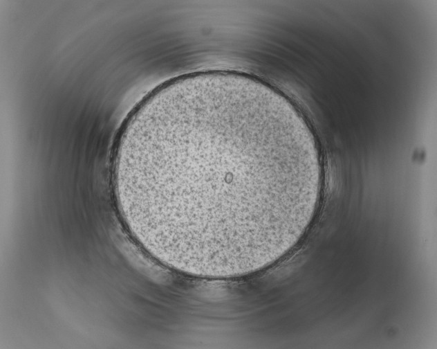 X0000111920828200908241049