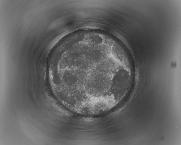 X0000111920829200908241049