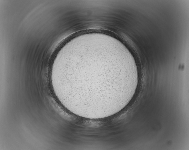 X0000111920831200908241049