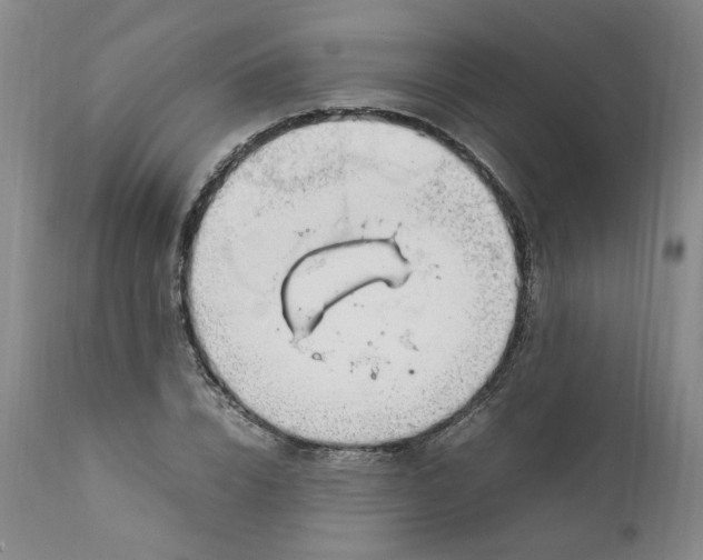 X0000111920832200908241049