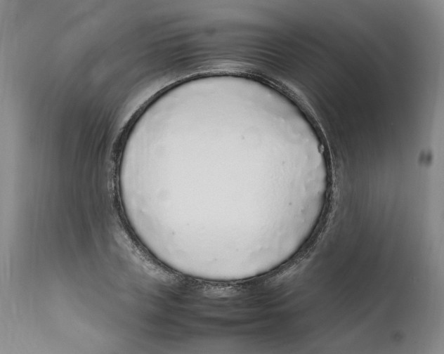 X0000111920835200908241049