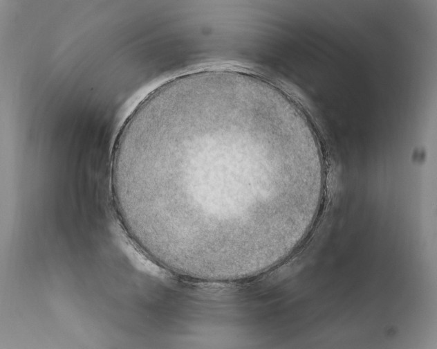 X0000111920836200908241049