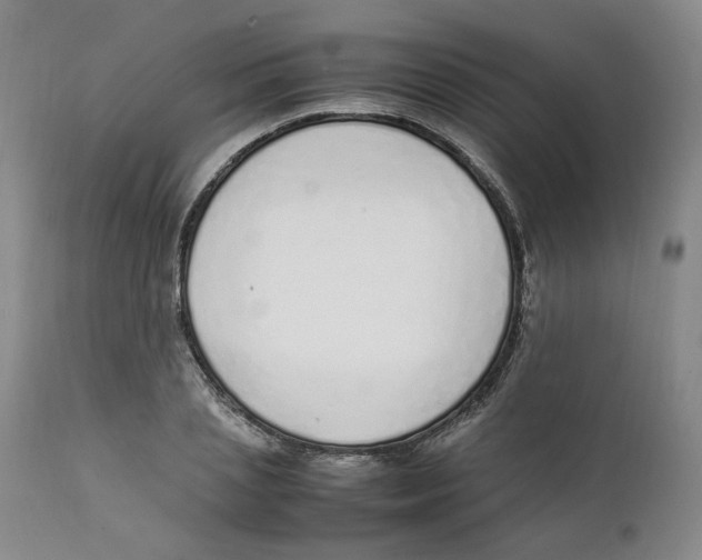 X0000111920837200908241049