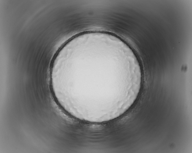 X0000111920839200908241049