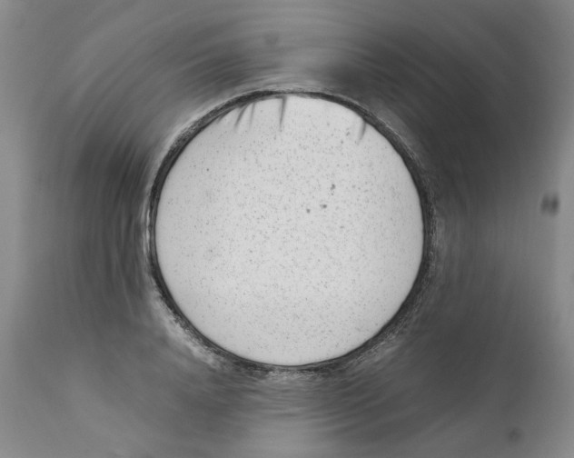 X0000111920840200908241049