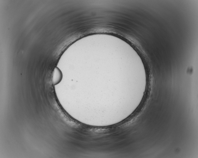 X0000111920841200908241049