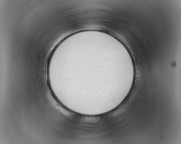 X0000111920843200908241049