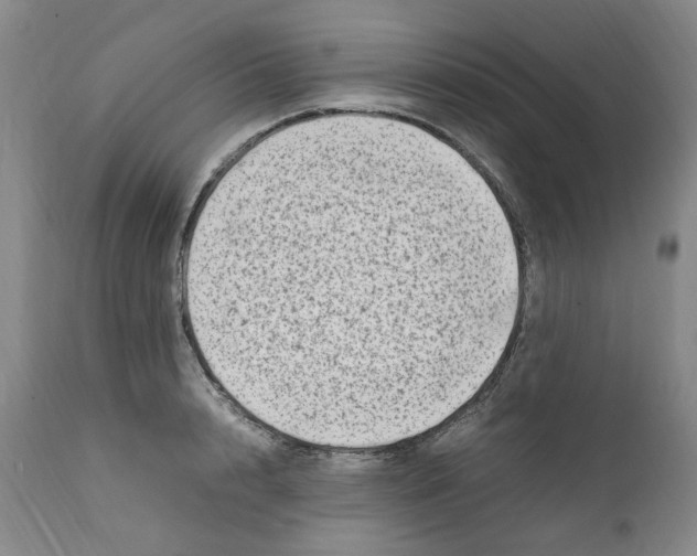 X0000111920848200908241049