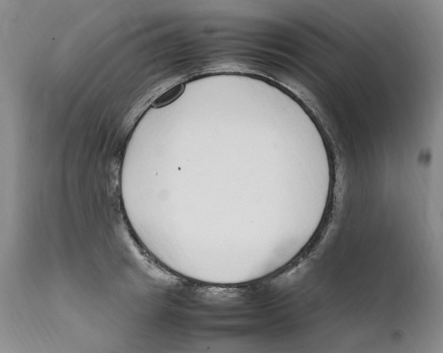 X0000111920849200908241049