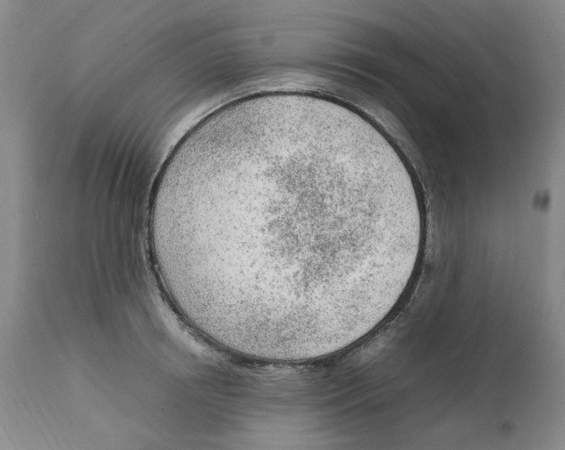 X0000111920850200908241049