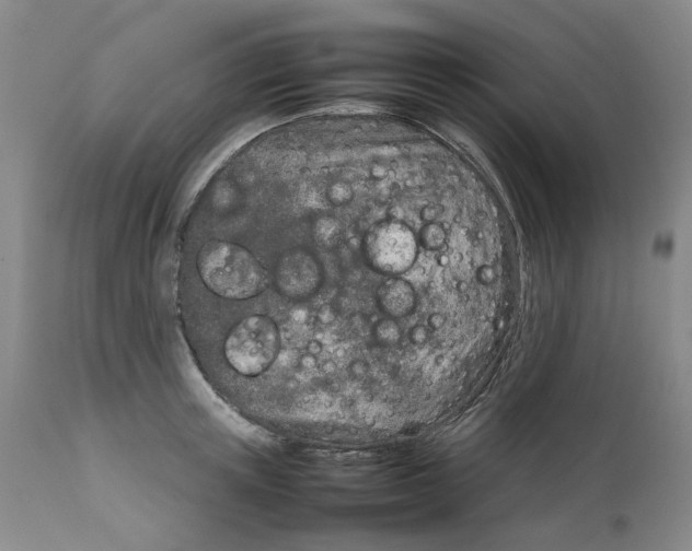 X0000111920851200908241049