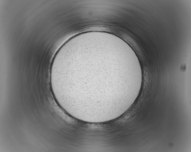 X0000111920852200908241049