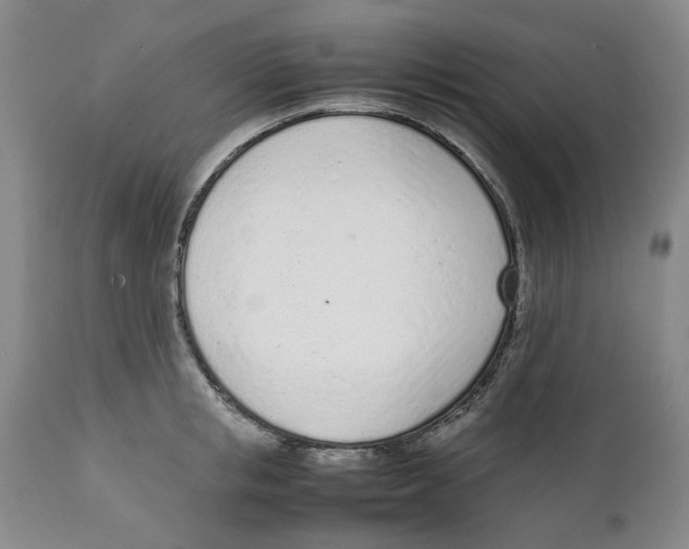 X0000111920853200908241049