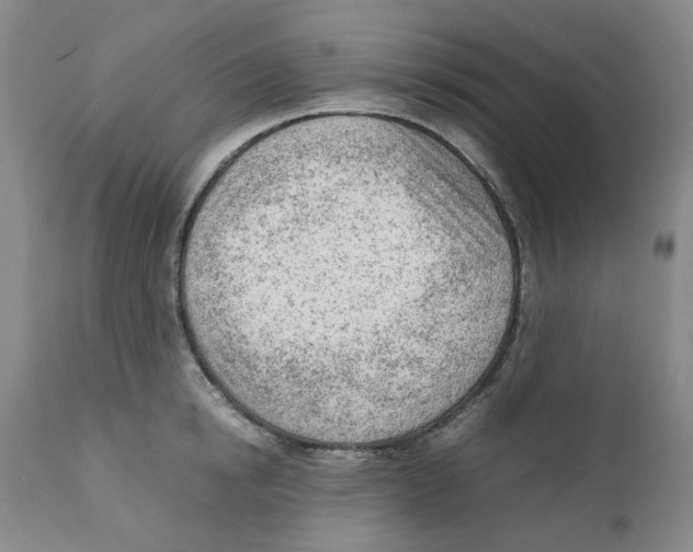 X0000111920854200908241049