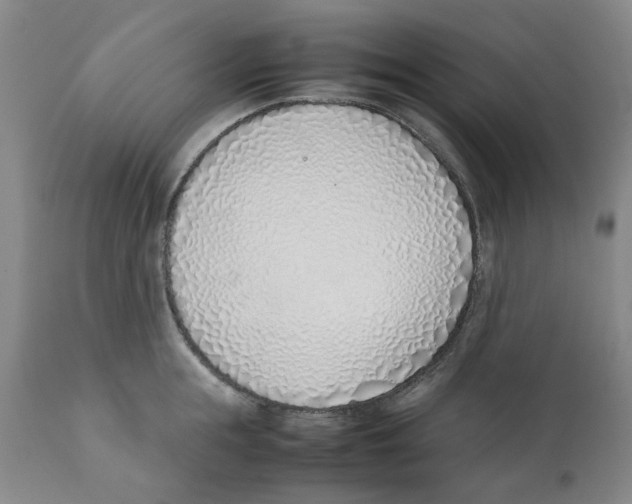 X0000111920855200908241049