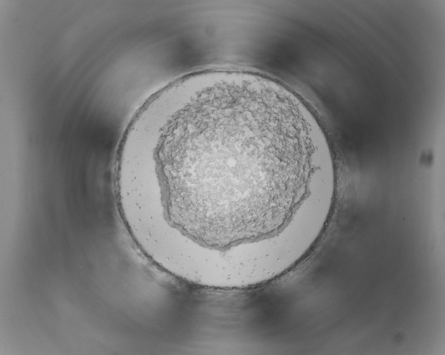 X0000111920856200908241049