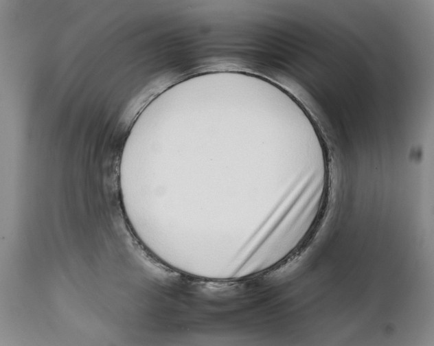 X0000111920857200908241049