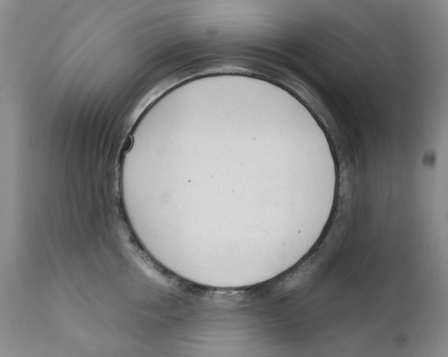 X0000111920858200908241049