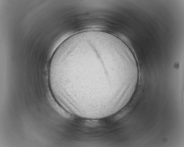 X0000111920859200908241049