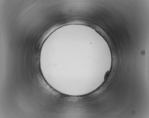 X0000111920860200908241049