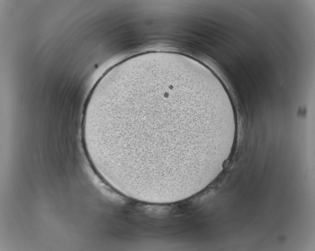 X0000111920861200908241049