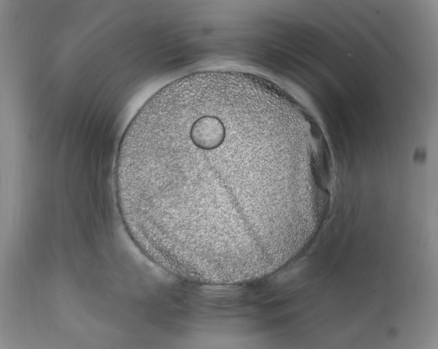 X0000111920863200908241049