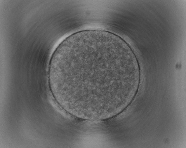 X0000111920864200908241049