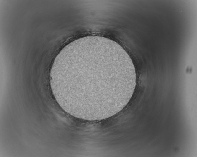 X0000111920865200908241049