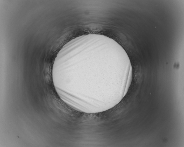 X0000111920866200908241049