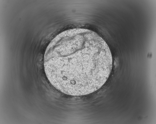 X0000111920867200908241049