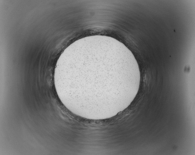 X0000111920868200908241049