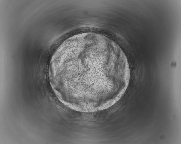 X0000111920870200908241049