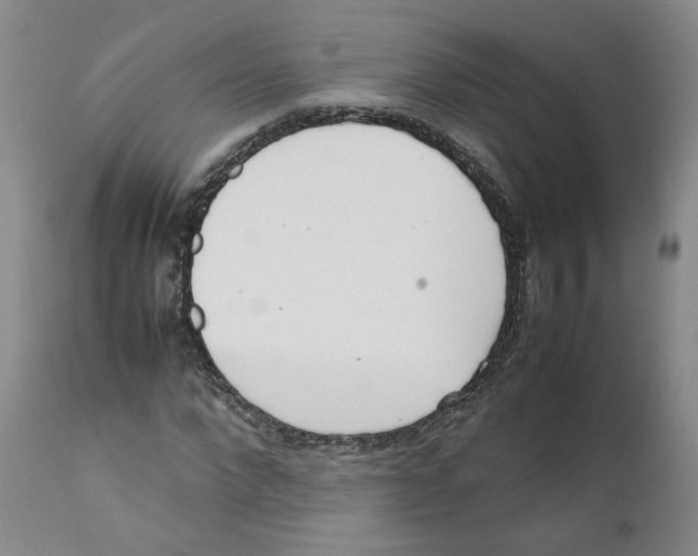 X0000111920872200908241048