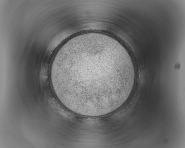 X0000111920874200908241048