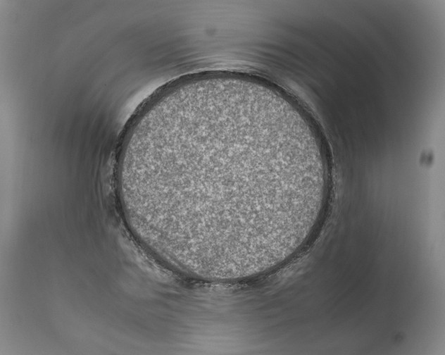 X0000111920875200908241048