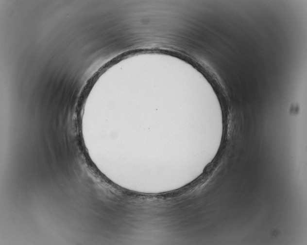 X0000111920876200908241048