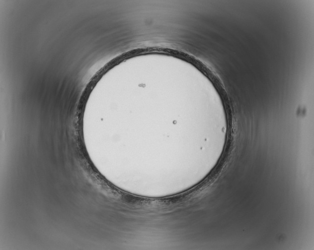 X0000111920879200908241048