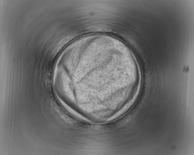 X0000111920881200908241048