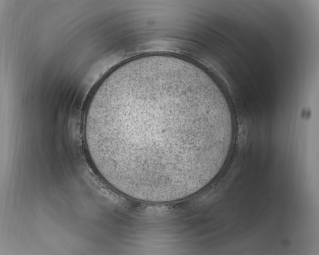 X0000111920882200908241048