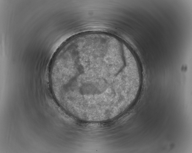 X0000111920883200908241048