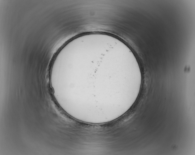 X0000111920885200908241048